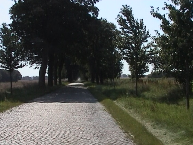 Kopfsteinpflasterstraße nach Greifswald